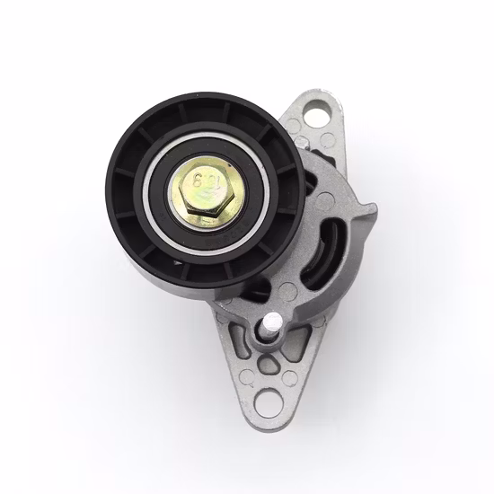 Fe-T16031 Tensor de correa de motor automático ajustable OEM 2z0903133